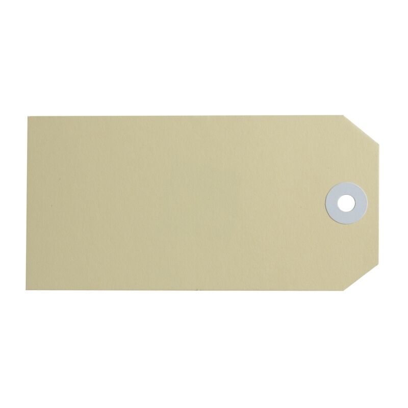 Avery Buff Shipping Tags Size 5 | Durable 1000-Count Pack Avery