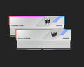 Predator Vesta II DDR5 6000MHz 32GB Gaming RAM Kit - Silver