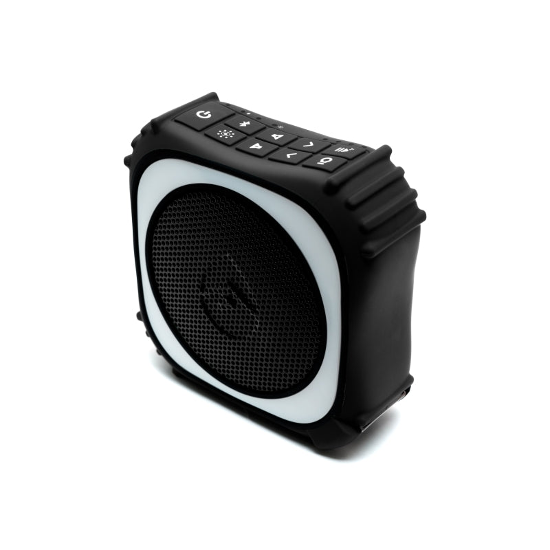 EcoEdge Pro: Loud Portable Outdoor Speaker | Siri/Google Ready EcoXgear