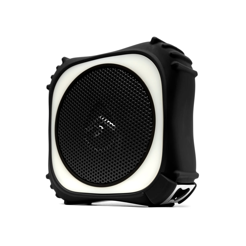EcoEdge Pro: Loud Portable Outdoor Speaker | Siri/Google Ready EcoXgear