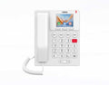 Fanvil X306 Easy-to-Use IP Phone with Wi-Fi & Braille Fanvil