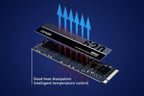 Lexar LNM620 256GB M.2 NVMe SSD | PCIe Gen3x4 Fast Storage 