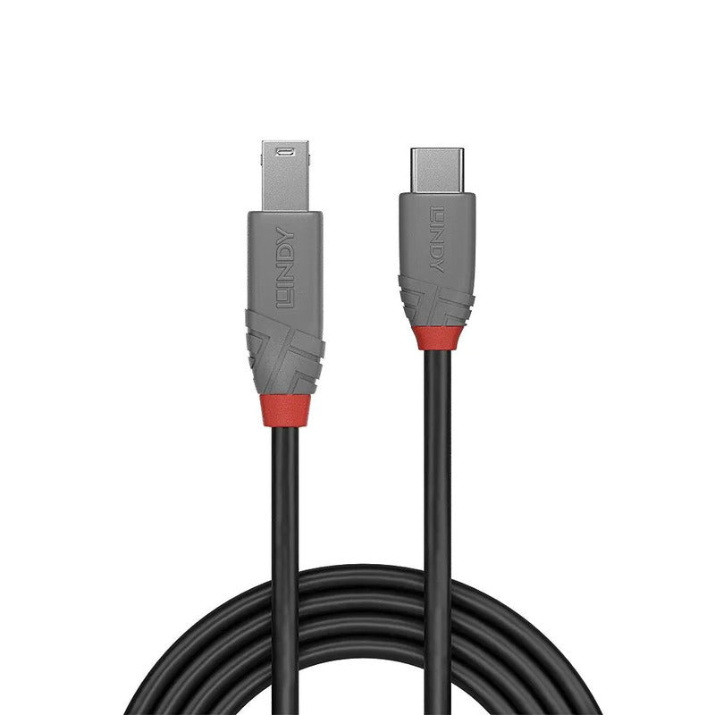 Lindy 3m USB-C to USB-B Cable | Fast 5Gbps Data Transfer Lindy