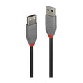 Lindy 0.2m USB 2.0 A to A Data Cable | Anthra Line Lindy