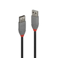 Anthra Line USB 2.0 Type A Cable - Pro Grade AV & IT Lindy