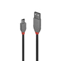 Anthra Line USB A to Mini-B Cable | Pro AV & IT Lindy