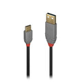 Lindy 1m USB 2.0 A to C Cable - Anthra Line Lindy