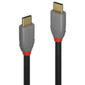 Anthra Line Pro USB-C to USB-C 5A Cable | AV & IT Grade Lindy
