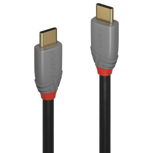 Anthra Line Pro USB C to C 5A Cable for AV/IT Lindy