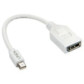 LINDY Mini DisplayPort to DisplayPort Adapter for PC & Laptop Lindy