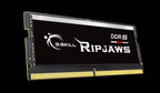 G.SKILL 48GB DDR5 5600 SO-DIMM RAM for Laptops