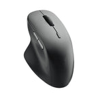 RAPOO M50 PLUS Black Wireless Ergonomic Mouse - Silent Clicks Rapoo