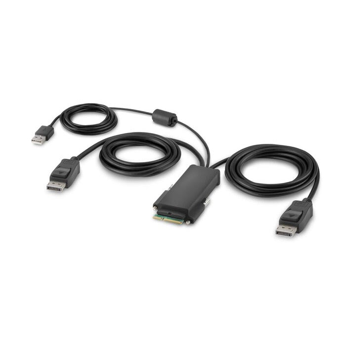 Belkin Secure KVM Switch 2-Port Dual Head DP PP4.0 with Remote Belkin