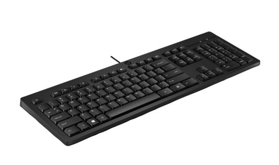 HP 125 Wired Keyboard - Compatible with Windows 10, Desktop PC, Laptop, Notebook USB Plug and Play Connectivit