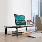 Ergolife Black Ergonomic Monitor Stand Riser - Durable Steel 