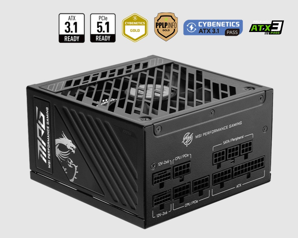 MSI MAG A1250GS 1250W ATX PSU - 80+ Gold, Fully Modular, PCIe 5.0 MSI