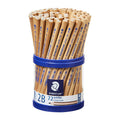 Staedtler Jumbo Triangular 2B Pencils - Easy Grip for Small Hands Staedtler
